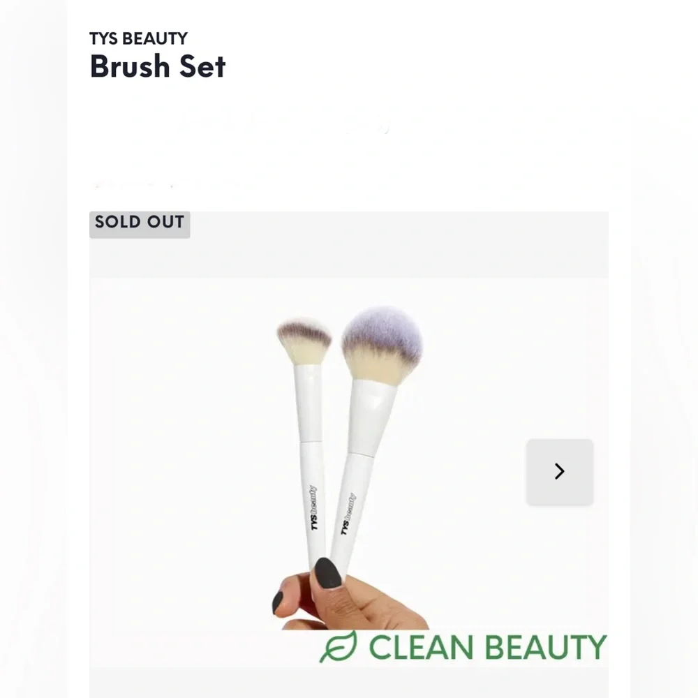 TYS BEAUTY treat yourself brush set NEW